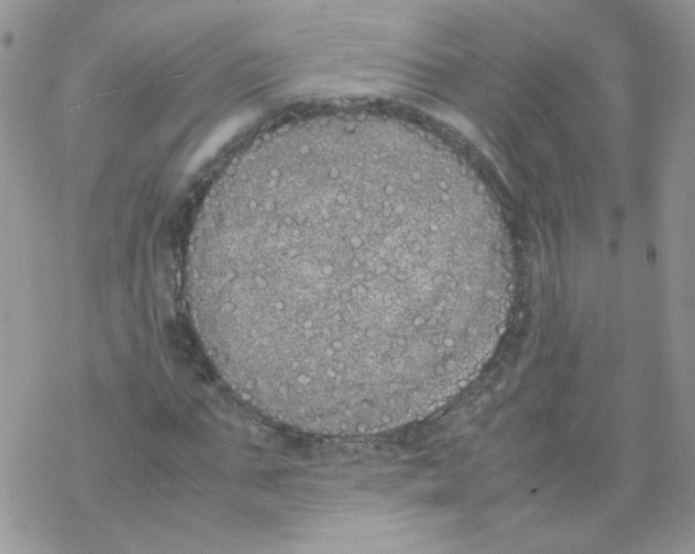 X0000069390871200606091714