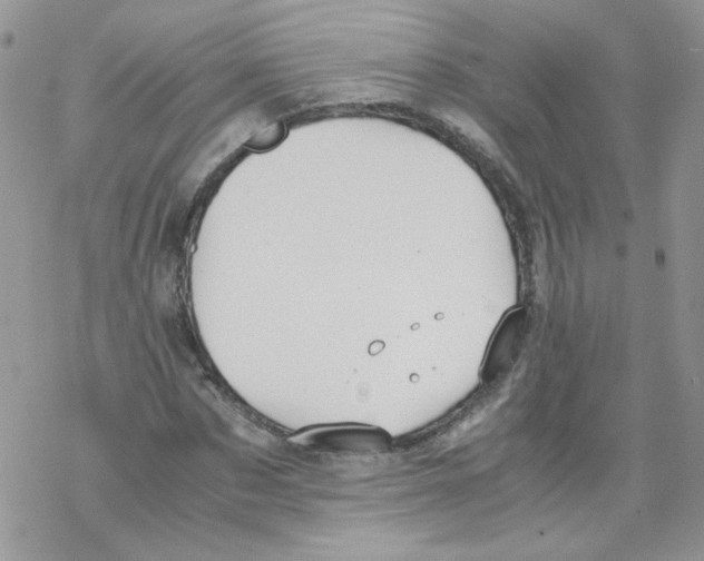 X0000069390873200606091714