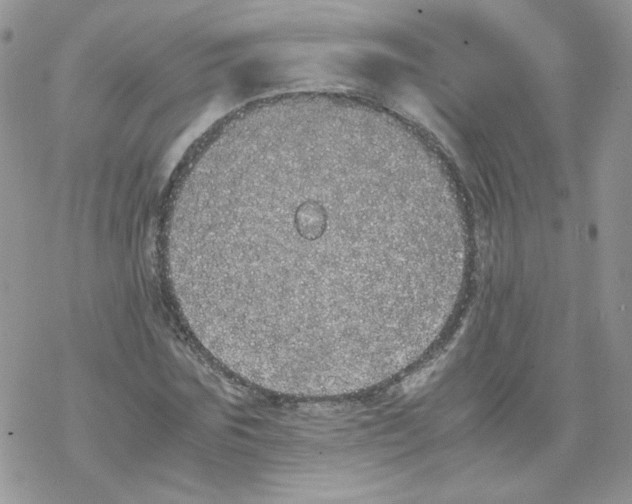 X0000069390875200606091714