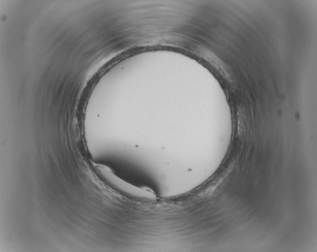 X0000069390876200606091714