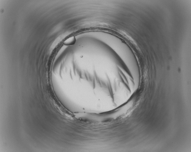 X0000069390877200606091714