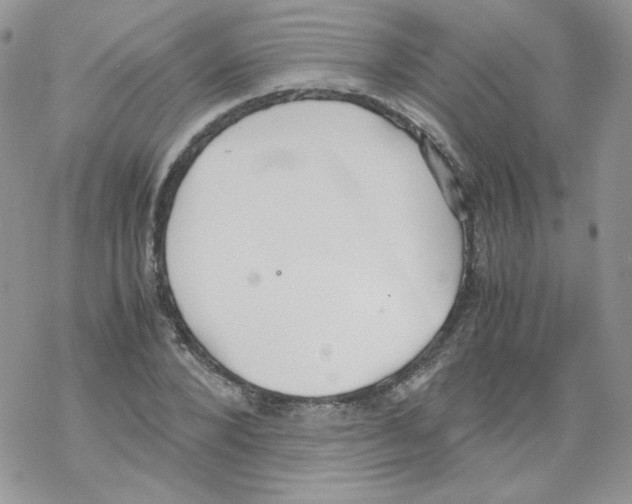 X0000069390880200606091714