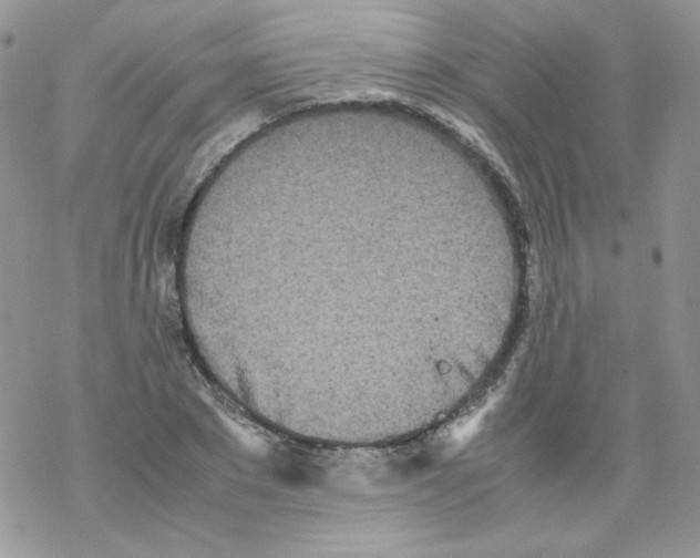 X0000069390881200606091714