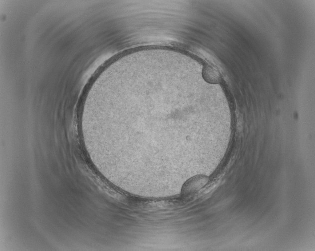 X0000069390883200606091714