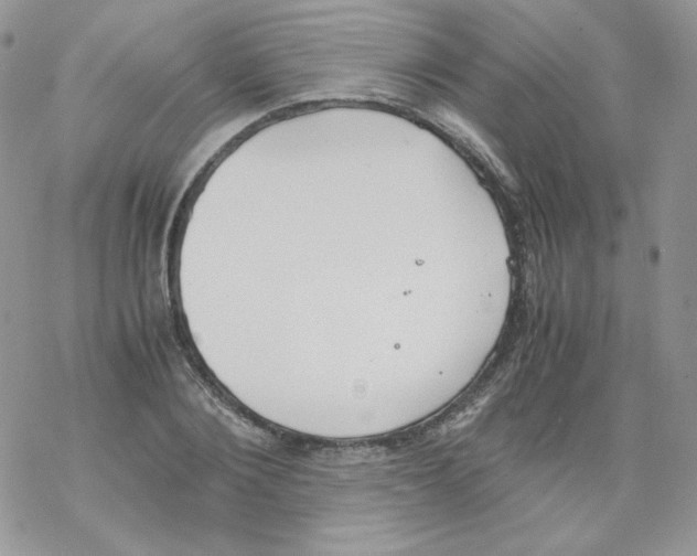 X0000069390884200606091714