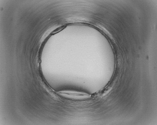 X0000069390885200606091714