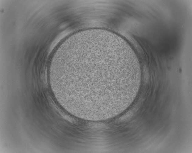 X0000069390886200606091714