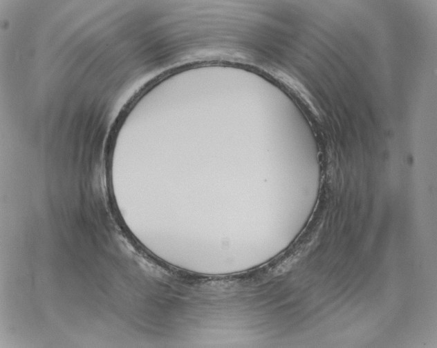 X0000069390888200606091714