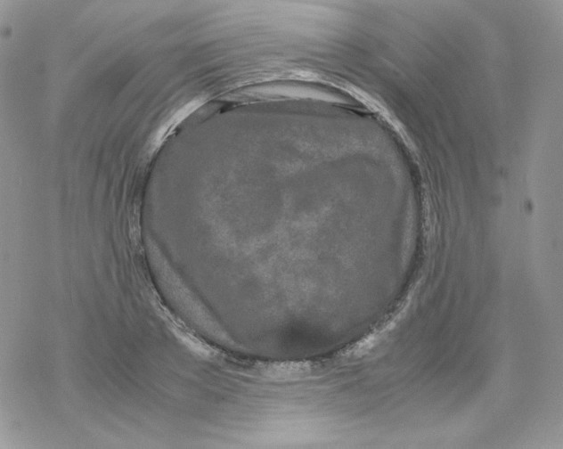 X0000069390889200606091714