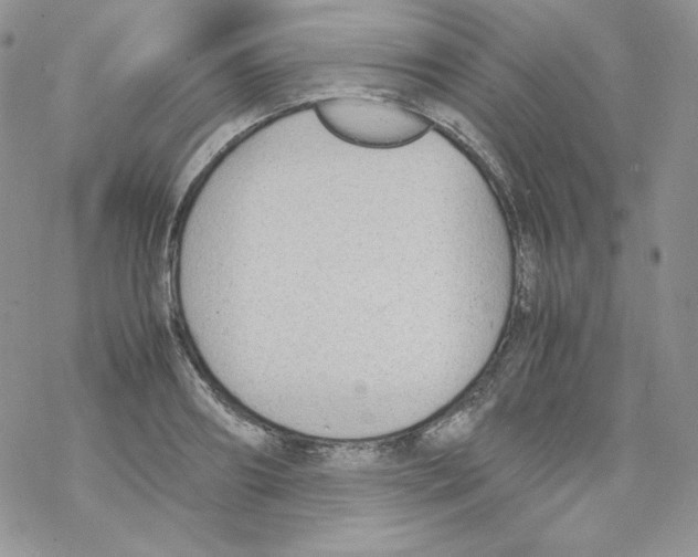 X0000069390890200606091714