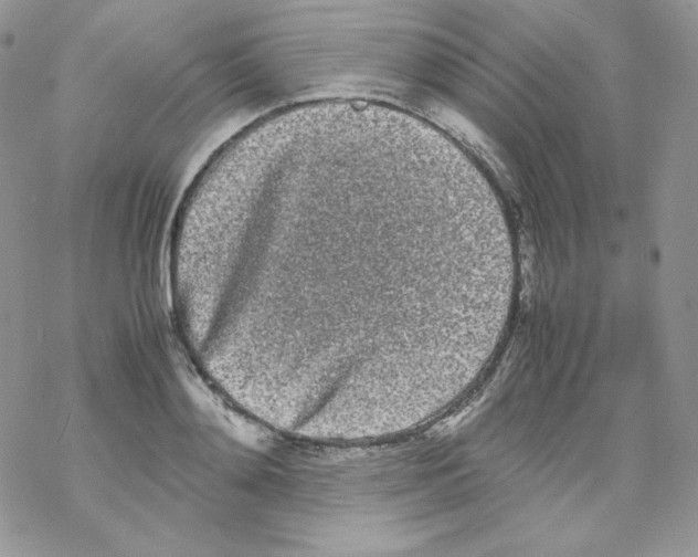 X0000069390892200606091714