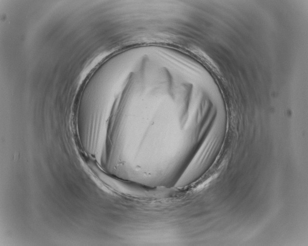 X0000069390893200606091714