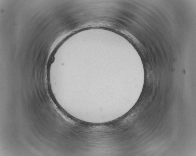 X0000069390894200606091714