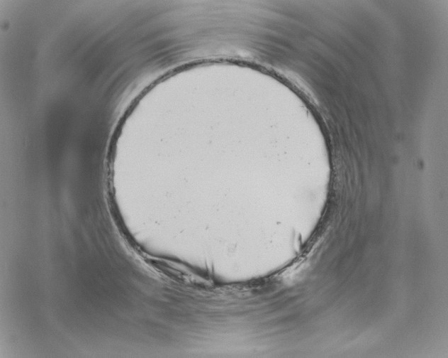 X0000069390895200606091714