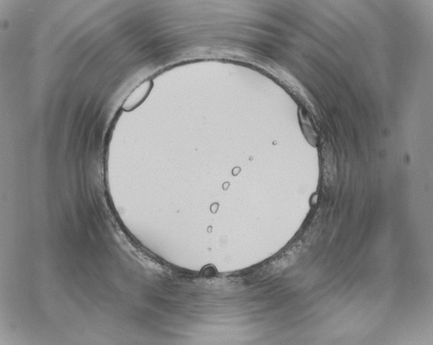 X0000069390896200606091714