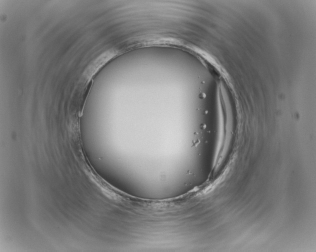 X0000069390897200606091713