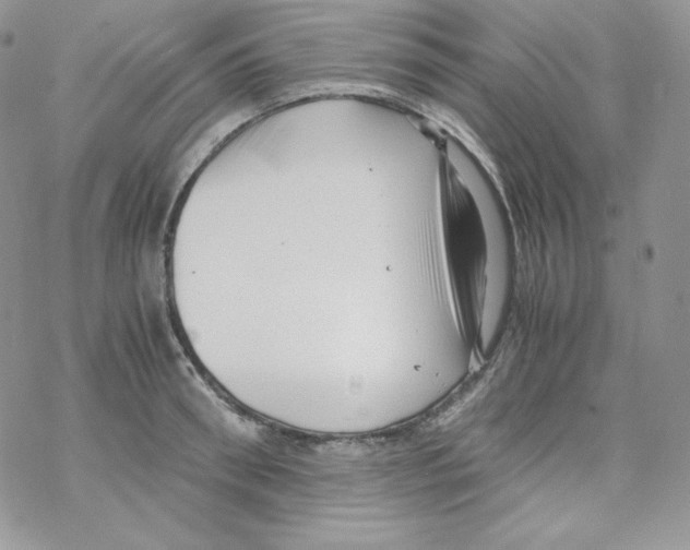 X0000069390898200606091713