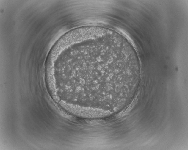 X0000069390899200606091713