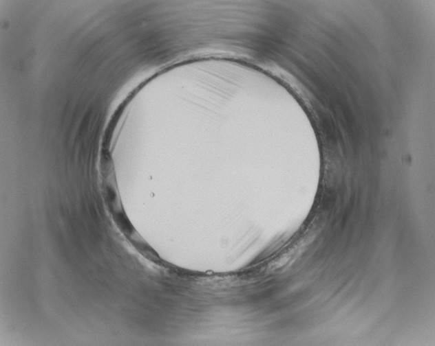 X0000069390902200606091713