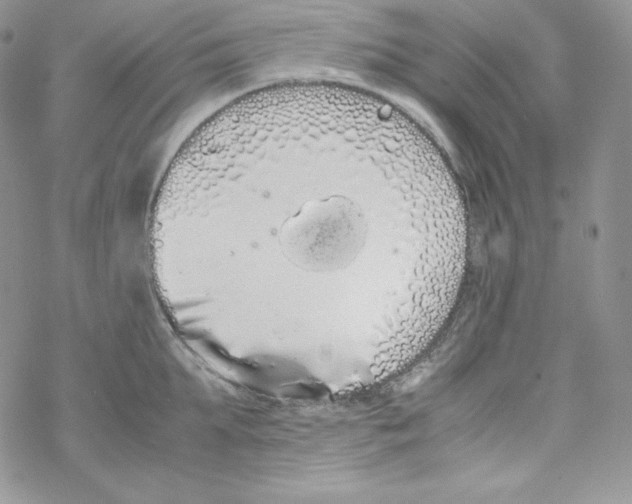 X0000069390903200606091713