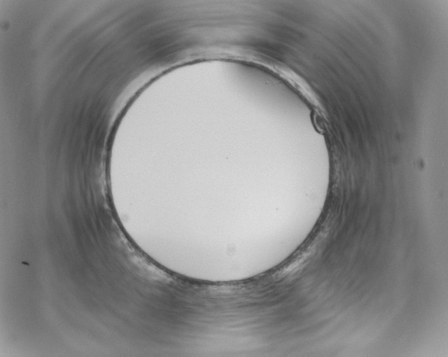 X0000069390904200606091713