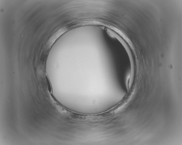 X0000069390905200606091713