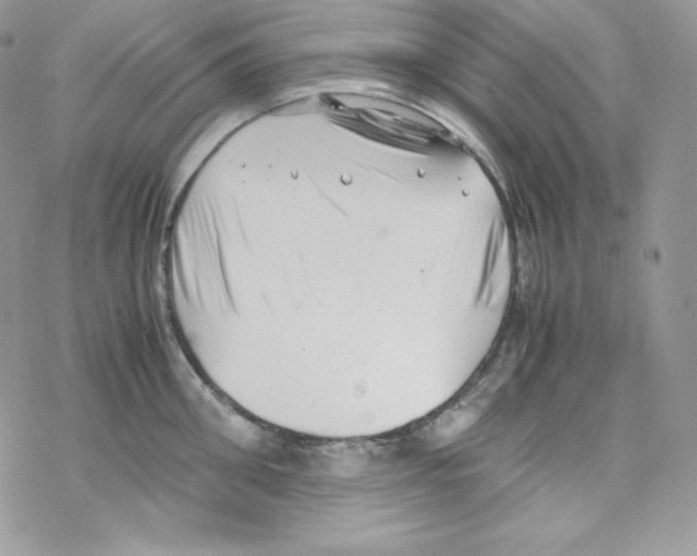 X0000069390906200606091713