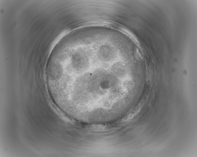 X0000069390907200606091713