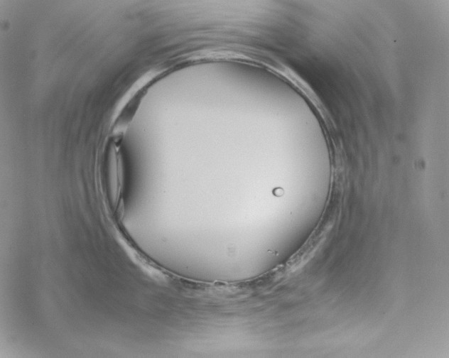 X0000069390909200606091713