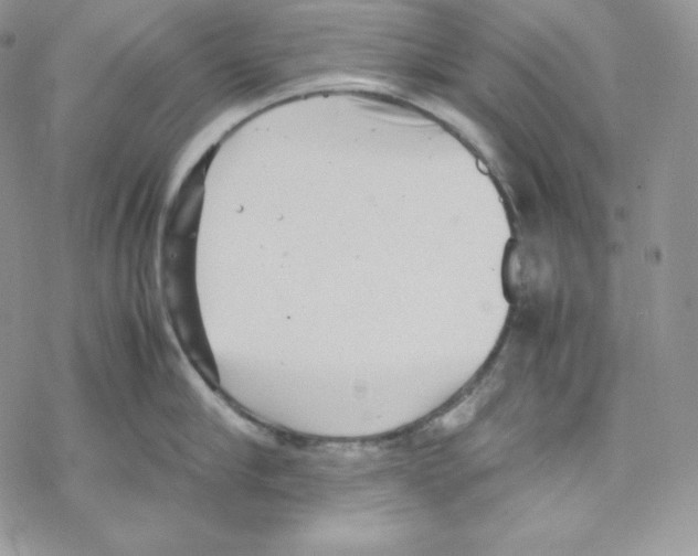 X0000069390910200606091713