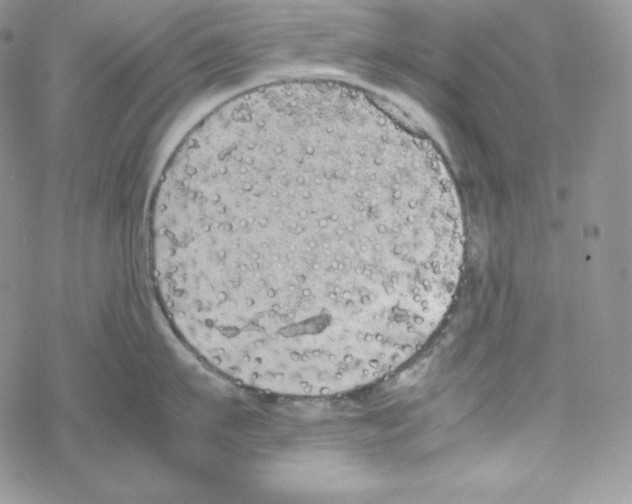 X0000069390911200606091713