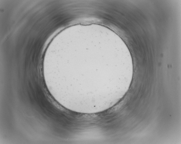 X0000069390912200606091713