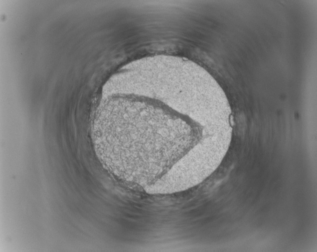 X0000069390913200606091712