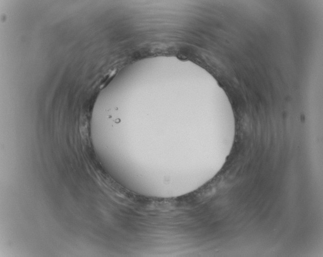 X0000069390914200606091712