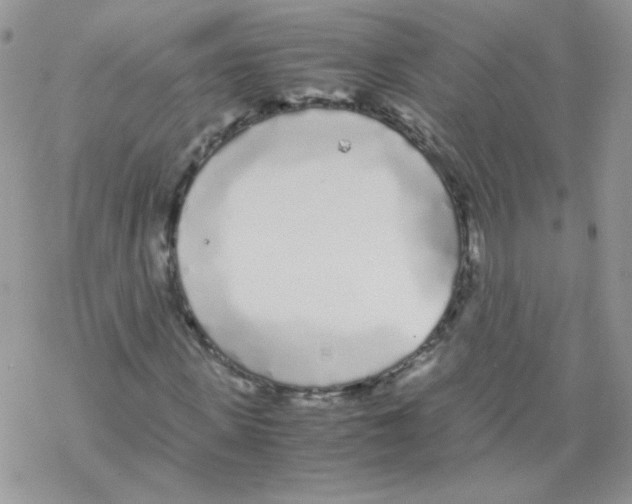 X0000069390915200606091713