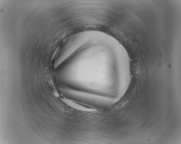 X0000069390916200606091713