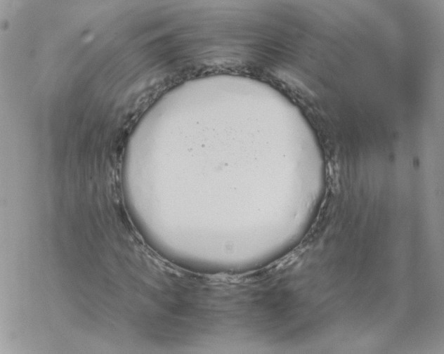 X0000069390917200606091713