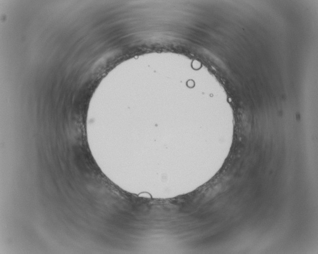 X0000069390918200606091713