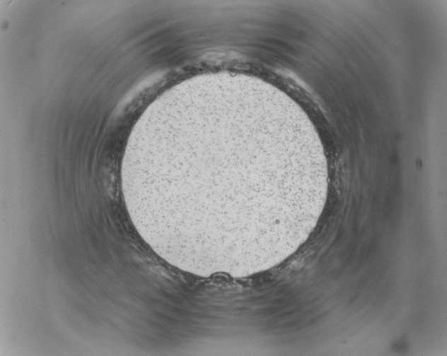 X0000069390919200606091713