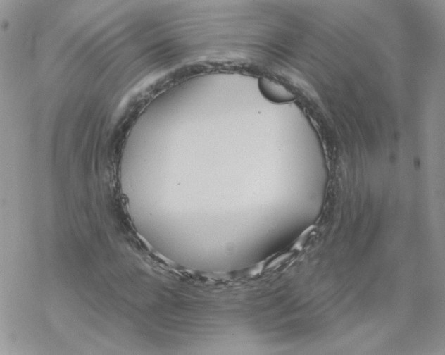 X0000069390920200606091713