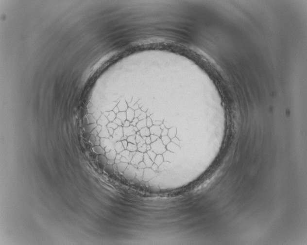 X0000069390921200606091713