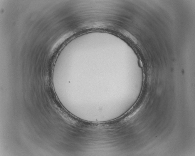 X0000069390922200606091713