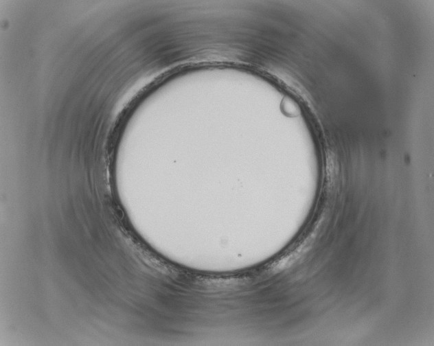 X0000069390925200606091713