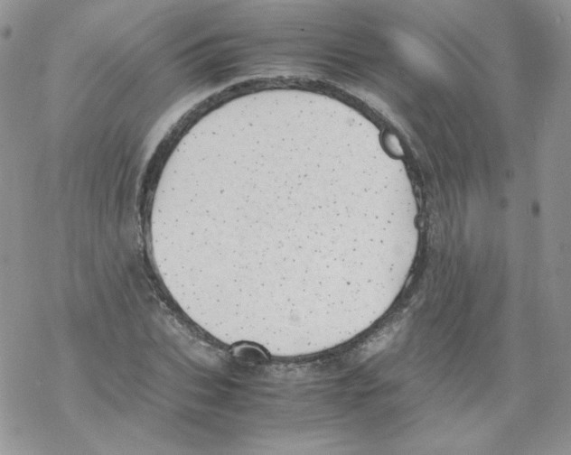 X0000069390927200606091713