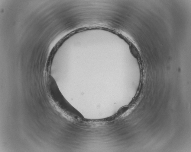 X0000069390928200606091713