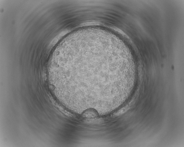 X0000069390929200606091713