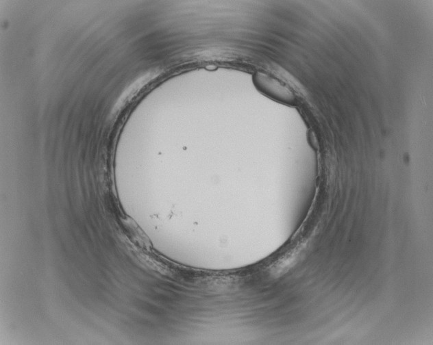 X0000069390930200606091713