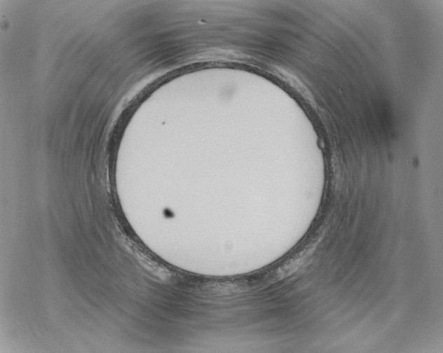 X0000069390931200606091713