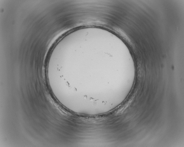 X0000069390932200606091713