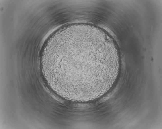 X0000069390933200606091713